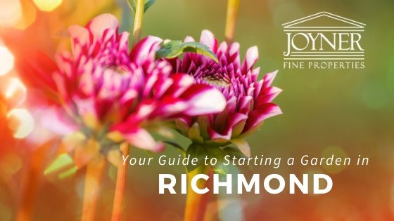 Richmond Garden Tips